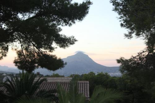 post-1921-0-33478400-1396254448_thumb.jp