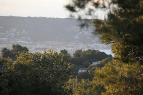 post-1921-0-42611300-1396254708_thumb.jp