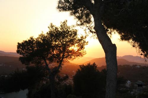 post-1921-0-85448900-1396268892_thumb.jp