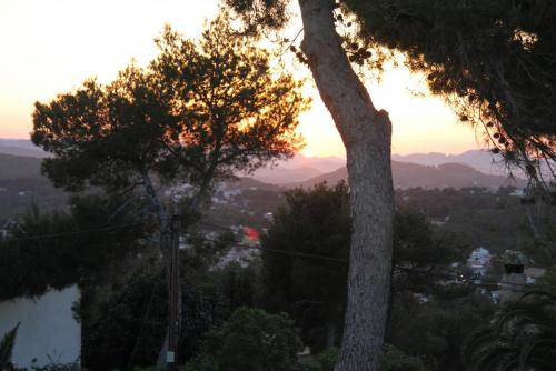 post-1921-0-94340100-1396269082_thumb.jp