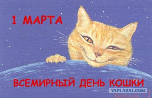 post-2490-0-38450800-1393666765_thumb.jp