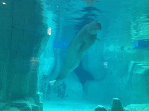 post-4565-0-28769900-1395014715_thumb.jp