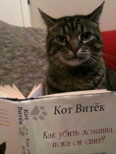 post-1217-0-25872800-1427580395_thumb.pn