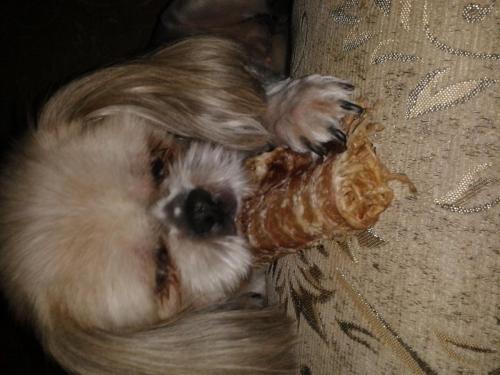 post-3577-0-06855500-1427610071_thumb.jp