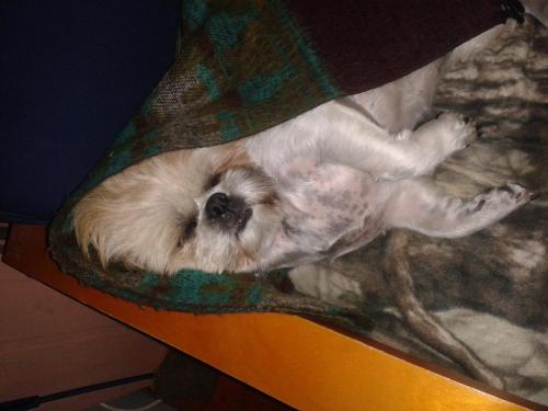 post-3577-0-17359700-1427729130_thumb.jp