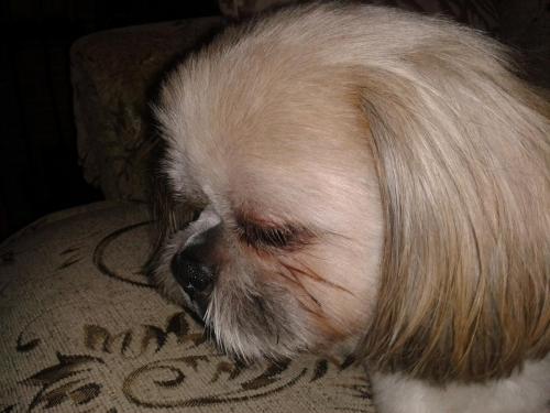 post-3577-0-19910100-1427729734_thumb.jp