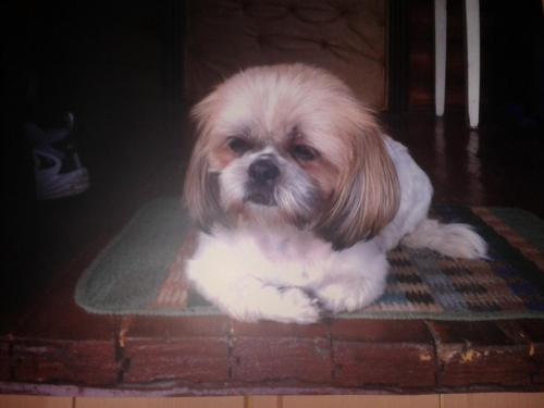 post-3577-0-55486800-1427610015_thumb.jp