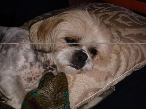 post-3577-0-71619300-1427729634_thumb.jp