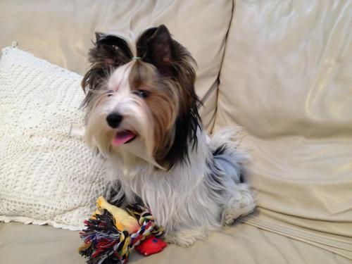 post-4769-0-68752500-1427723626_thumb.jp