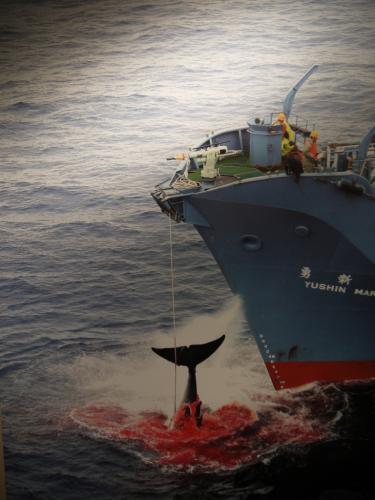 post-1217-0-00631600-1366105405_thumb.jp