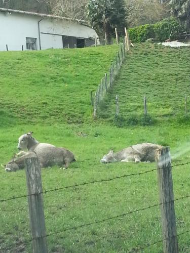 post-1217-0-18285400-1365939677_thumb.jp