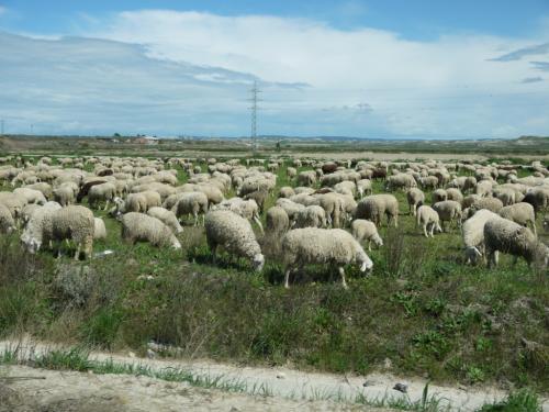 post-1217-0-18518200-1365877330_thumb.jp