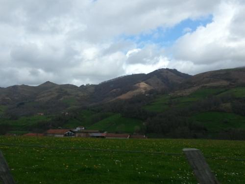 post-1217-0-30103900-1365939652_thumb.jp