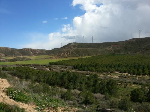 post-1217-0-43004900-1365877393_thumb.jp