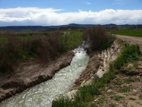 post-1217-0-45890000-1365877364_thumb.jp