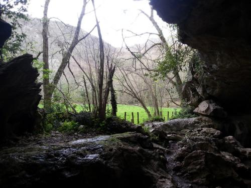 post-1217-0-61219500-1365939962_thumb.jp