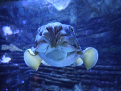 post-1217-0-75598400-1366105411_thumb.jp