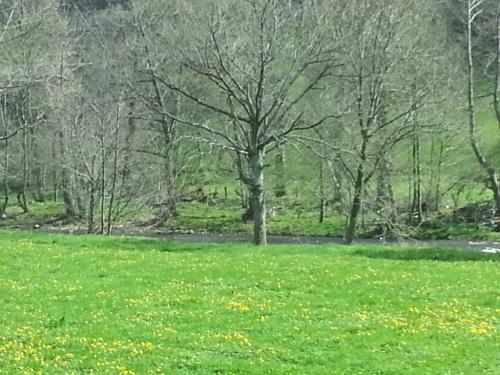 post-1217-0-83775800-1365939633_thumb.jp