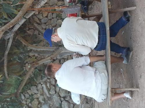 post-1217-0-69176500-1396767004_thumb.jp