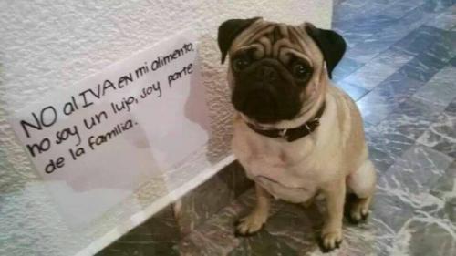 post-1255-0-20623500-1397573027_thumb.jp