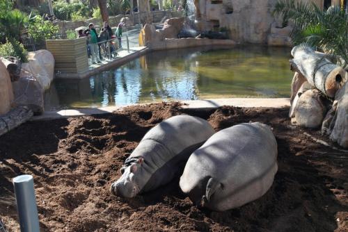 post-1268-0-81263000-1396985590_thumb.jp