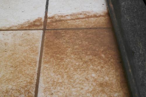 post-1268-0-92193800-1396528821_thumb.jp