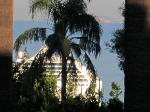 post-1370-0-56709900-1398855357_thumb.jp