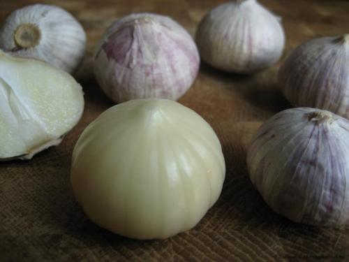 post-1652-0-26703100-1398238974_thumb.jp