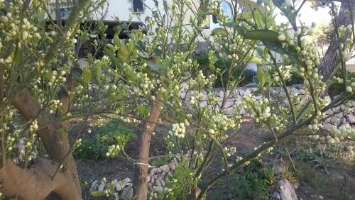 post-1921-0-63157800-1397028616_thumb.jp