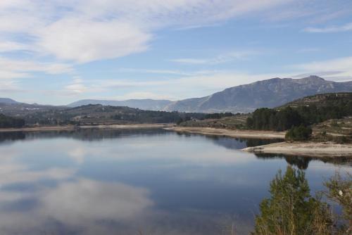 post-1921-0-69161000-1398064085_thumb.jp