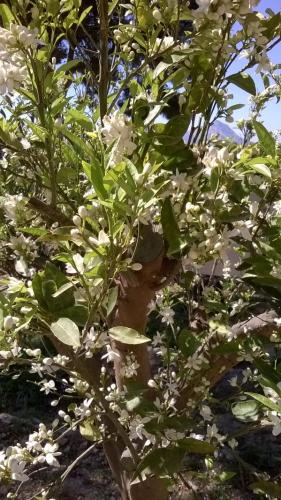 post-1921-0-84407100-1397816621_thumb.jp