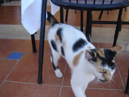 post-2035-0-36647300-1398882045_thumb.jp