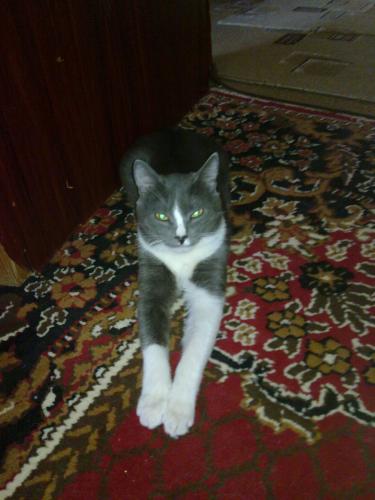 post-4696-0-54686100-1398591081_thumb.jp