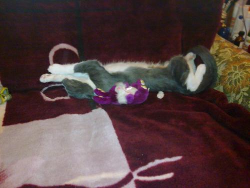 post-4696-0-71063400-1398591038_thumb.jp