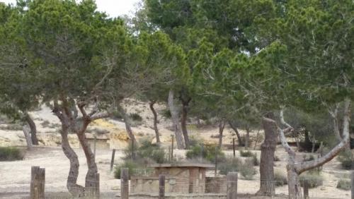 post-1217-0-10702900-1430071719_thumb.jp