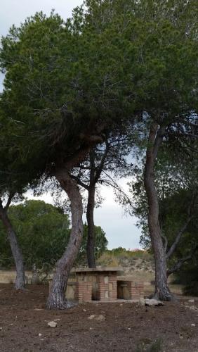 post-1217-0-55988400-1430071824_thumb.jp