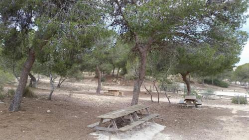 post-1217-0-56838700-1430071758_thumb.jp