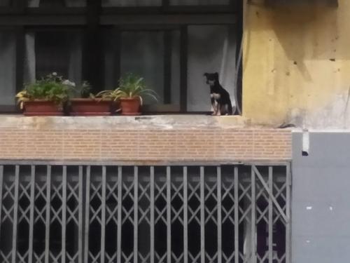 post-4696-0-07123100-1429193838_thumb.jp