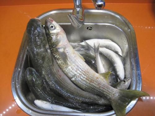 post-1050-0-74785200-1367485819_thumb.jp