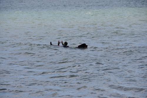 post-1276-0-67288400-1368881181_thumb.jp