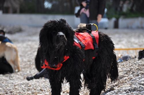 post-1276-0-99852400-1368881231_thumb.jp