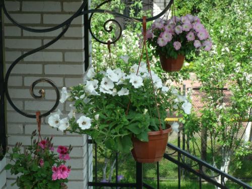 post-1370-0-70119100-1369837061_thumb.jp