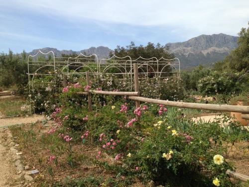 post-1145-0-56543000-1399671818_thumb.jp