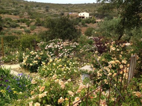 post-1145-0-65894900-1399672584_thumb.jp