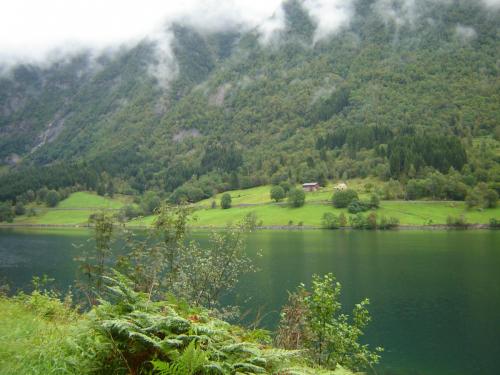 post-2035-0-16703700-1401034107_thumb.jp