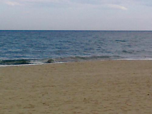 post-2035-0-43723900-1400590056_thumb.jp