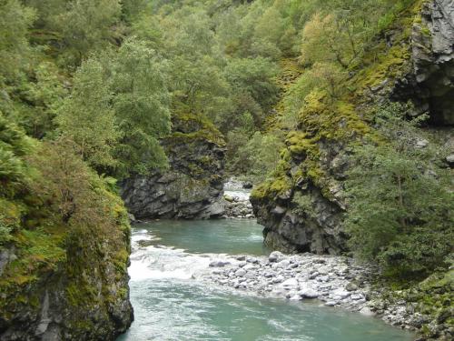 post-2035-0-58088100-1401033687_thumb.jp