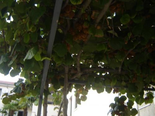 post-2035-0-94118900-1398959464_thumb.jp