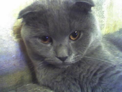 post-2315-0-05737000-1399141337_thumb.jp