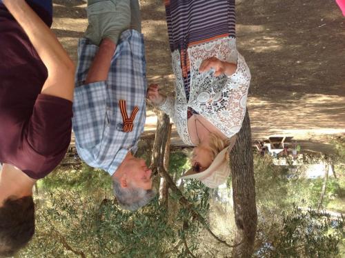 post-6226-0-94666500-1431240771_thumb.jp